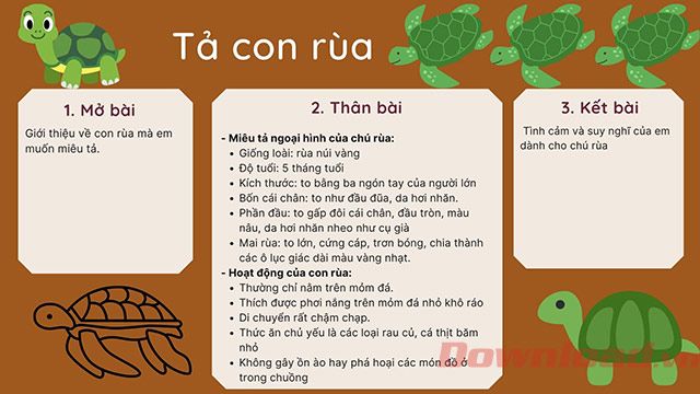 Sơ đồ tư duy miêu tả con rùa