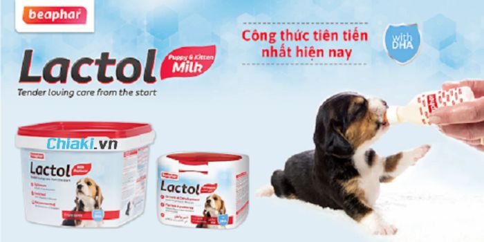 Sữa bột cho chó Beaphar Lactol