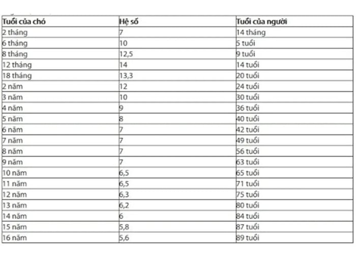 Cách tính tuổi của chó