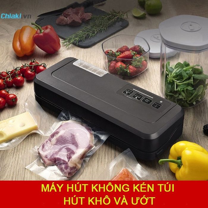 Máy hút chân không P290A