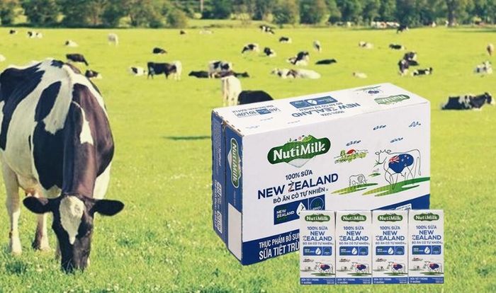 Thùng 48 hộp sữa tươi Nutimilk New Zealand ít đường 180 ml (từ 1 tuổi)