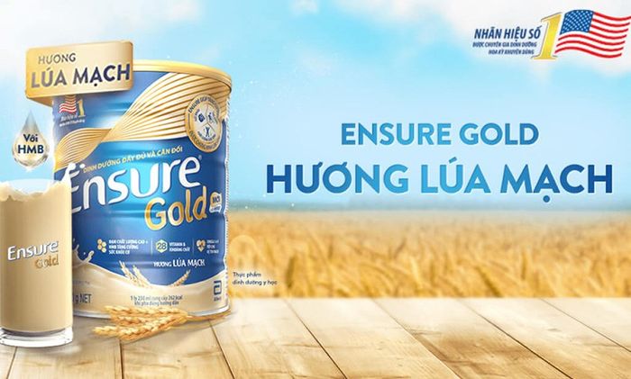 Sữa Ensure Gold hương lúa mạch