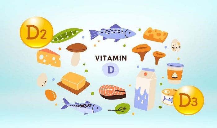 Cả vitamin D2 và D3 đều đóng vai trò quan trọng đối với xương khớp