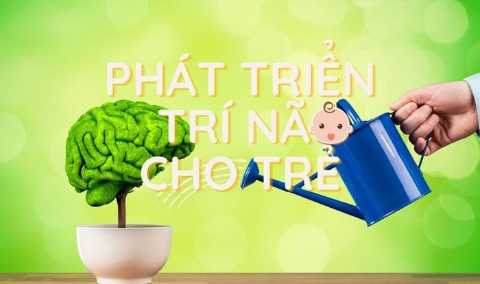 Sắt - Dinh dưỡng cho não trẻ