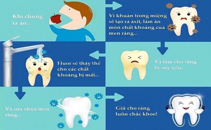 Fluoride là thành phần chính trong kem đánh răng