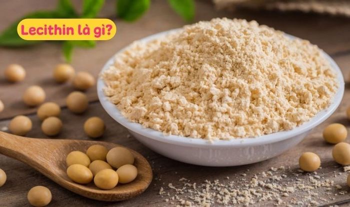 Lecithin - Giải pháp giảm cholesterol và cải thiện sức khỏe gan, thần kinh