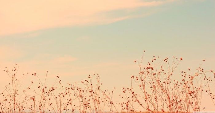 Bài văn thể hiện biện pháp tu từ nói quá hoặc nói giảm - nói tránh