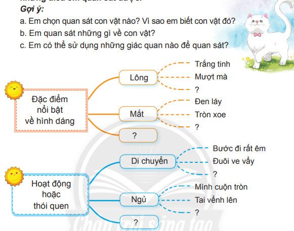 Câu hỏi 2