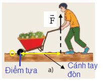 Hình 19.2 phần a