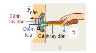 Hình 19.2 phần c