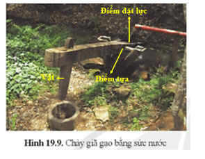 Câu hỏi 5