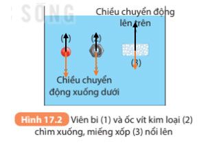 Hình 17.2