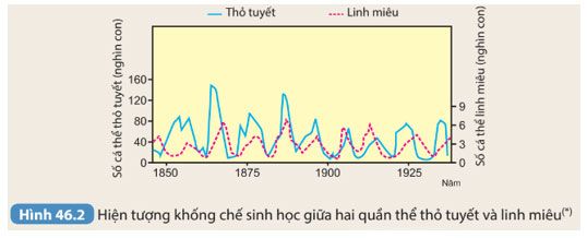 Hình 46.2