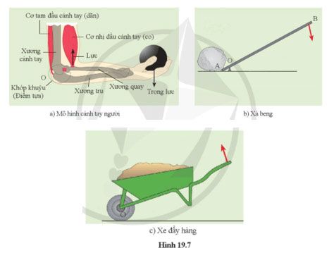 Câu hỏi 4