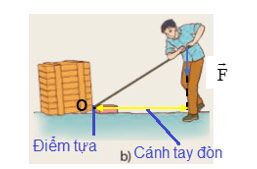 Hình 19.2 phần b