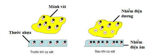 Câu hỏi 1