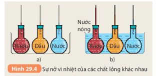 Hình 29.4