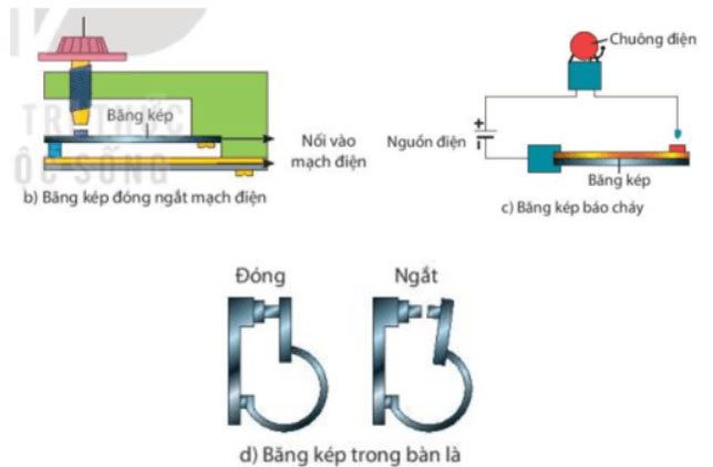 Hình 29.7b, c, d