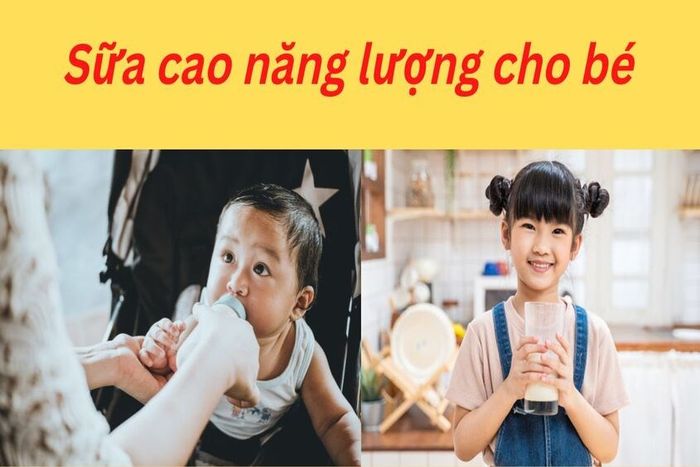 Khám phá sức mạnh của sữa cao năng lượng