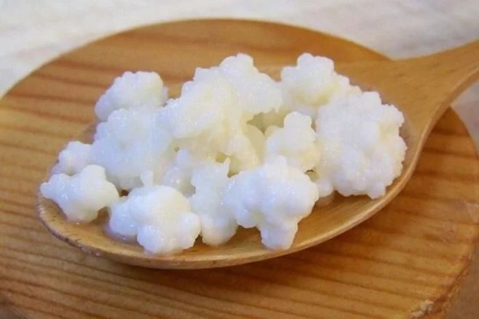 Cách làm sữa chua từ nấm kefir tại nhà