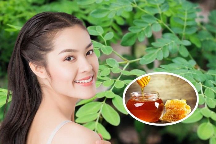Cách làm mặt nạ lá chùm ngây với mật ong hiệu quả nhất