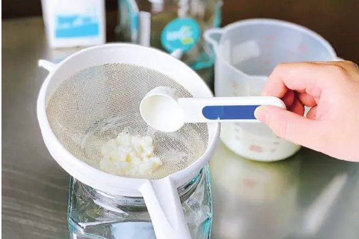 Rửa sạch nấm là bước đầu tiên trong quy trình làm sữa chua từ nấm kefir 