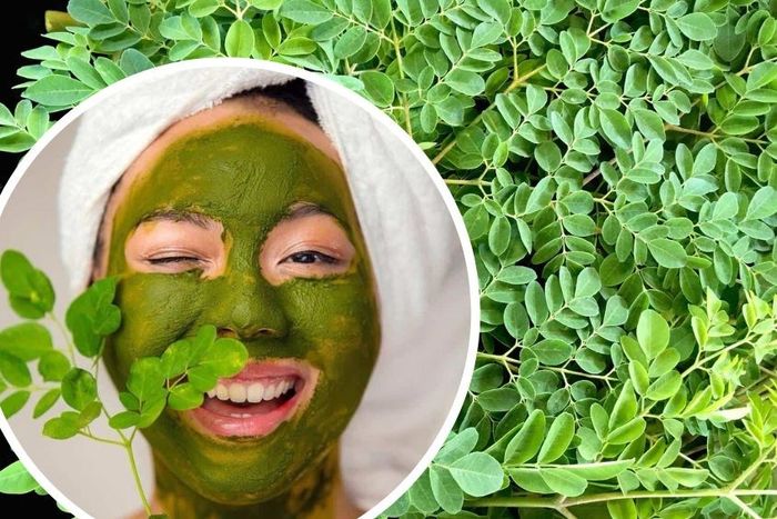 Gợi ý cách làm mặt nạ từ lá chùm ngây đơn giản