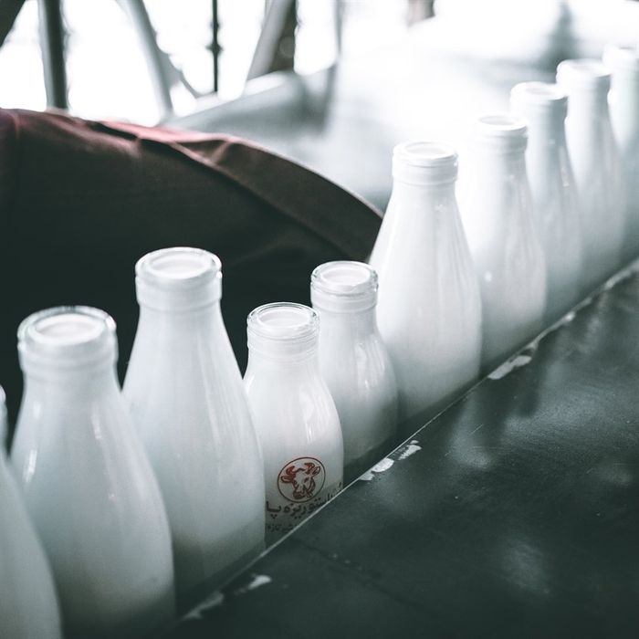 Sữa bò là nguồn dinh dưỡng tốt cho trẻ. (Nguồn: Unsplash, tác giả: Mehrshad Rajabi)