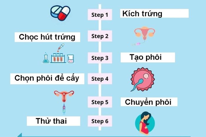 Mô tả quy trình thụ tinh ống nghiệm.