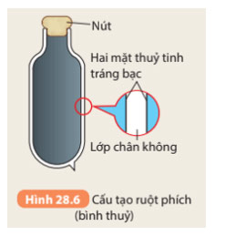 Hình 28.6