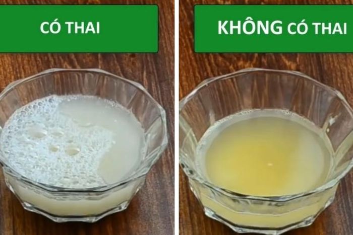 Cách đọc kết quả khi thử thai bằng kem đánh răng