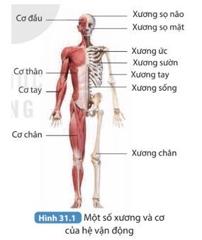 Sử dụng thìa của bé khi cho bé ăn