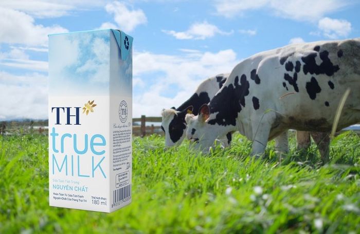 Sữa tươi TH true MILK không đường 1 lít (từ 1 tuổi)