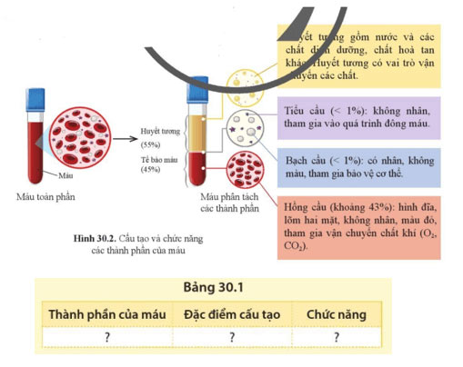 Hình vẽ 30.2