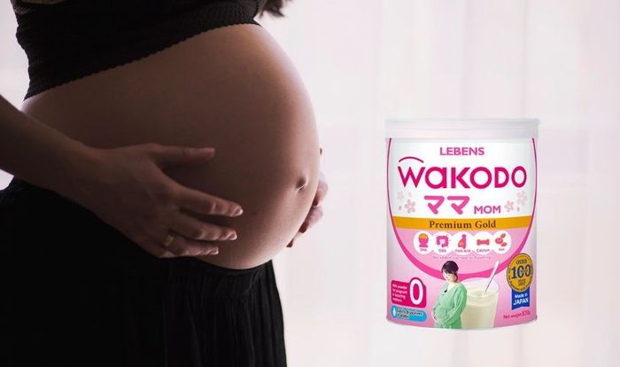 Sữa bầu Wakodo Mom 830g