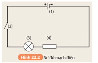 Hình 22.2