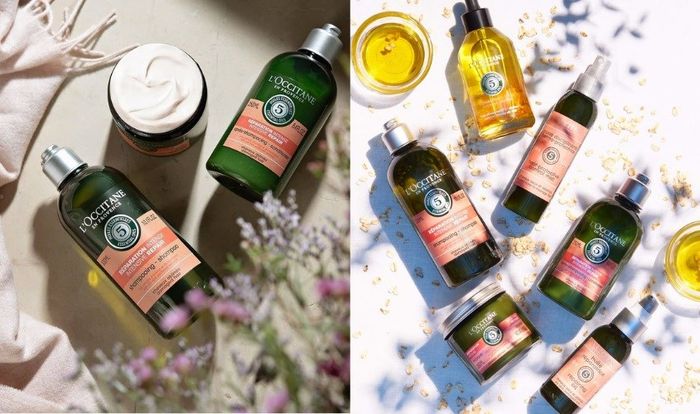 Dầu gội L’occitane đem lại độ ẩm cho tóc