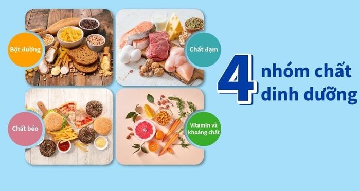 Đảm bảo cung cấp đủ các chất dinh dưỡng cần thiết