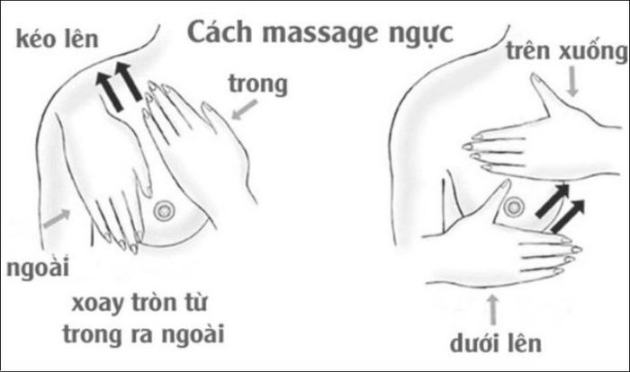 Mẹ nên thực hiện massage cho ngực thường xuyên