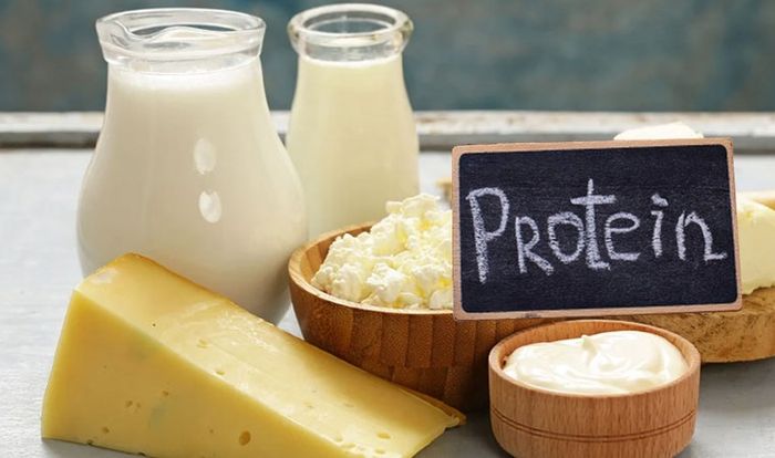 Phô mai cung cấp protein cần thiết