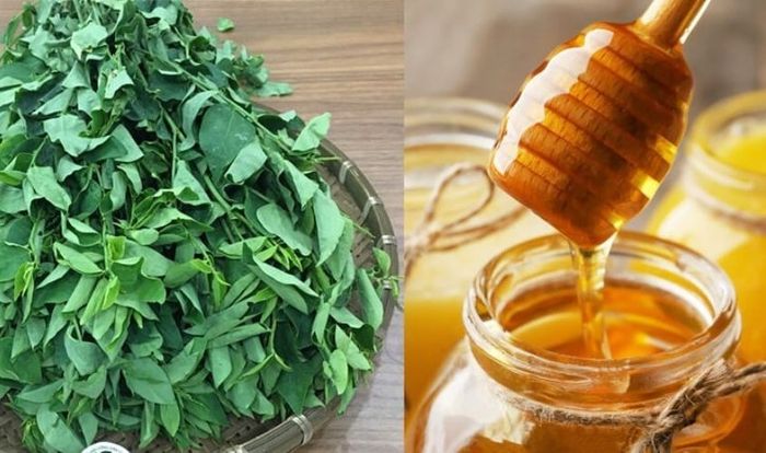 Sử dụng mật ong với rau ngót để điều trị nhiệt miệng