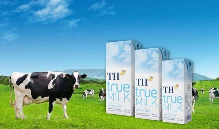 Lô 4 hộp sữa tươi TH true MILK không đường 180 ml