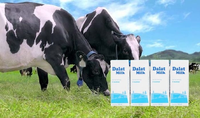 Lốc 4 hộp sữa tươi DalatMilk ít đường 180 ml