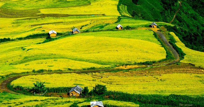 Viết về cảnh vật