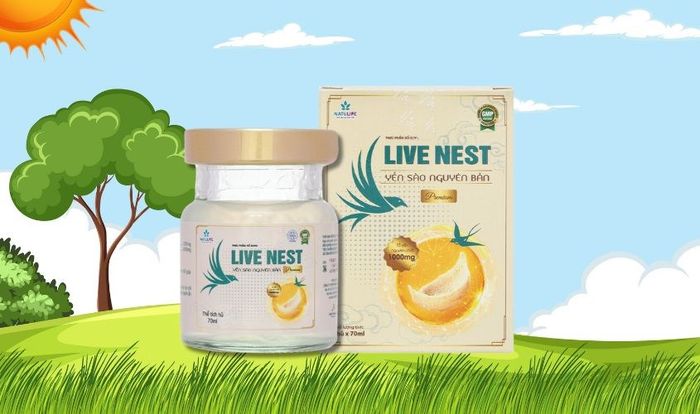 Nước yến sào Natulife Live Nest Premium 70 ml (từ 3 tuổi)