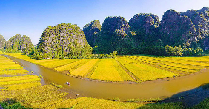 Cánh đồng