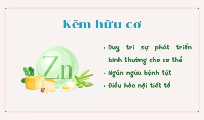 Kẽm hữu cơ mang lại nhiều lợi ích cho sức khỏe