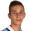 Zvonarek L.
