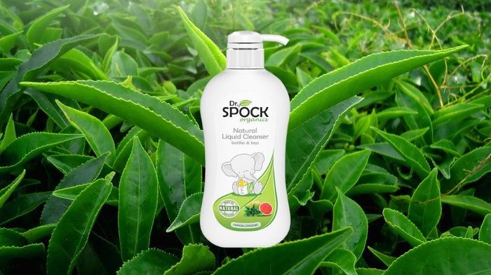 Nước rửa bình sữa Dr.Spock Organics chứa thành phần nổi bật từ chiết xuất trà xanh