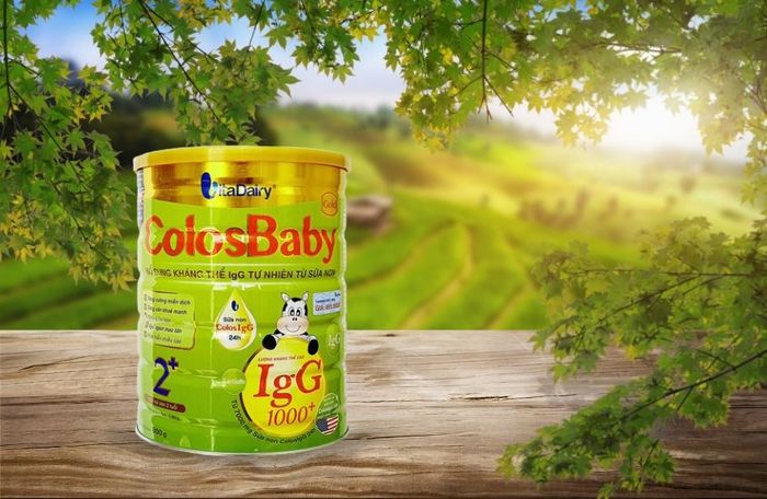 Sữa bột ColosBaby Gold 2+